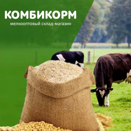 Сайт компании по продаже комбикормов в г. Саранск