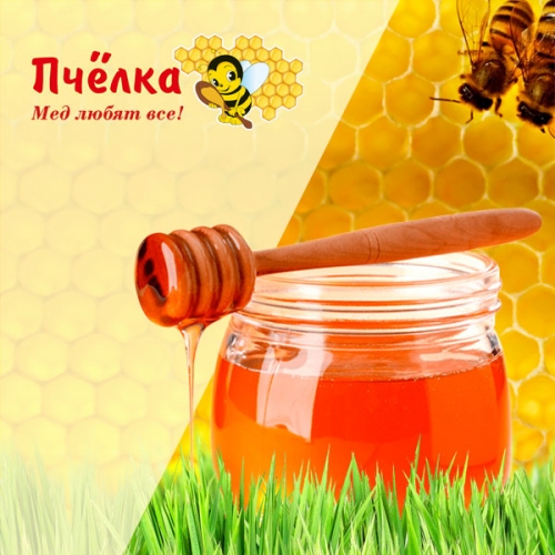 Сайт магазина пчеловодства ПЧЁЛКА в г. Пенза